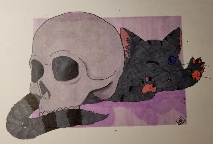 Skull Cat