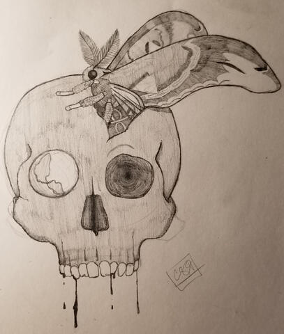 Atlas