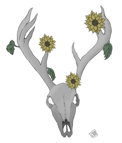 Deer Skull