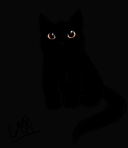 cat eyes 2
