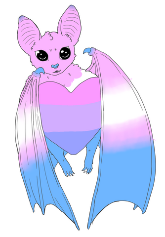 Trans bat